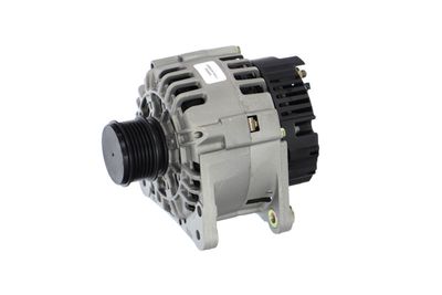 GENERATOR / ALTERNATOR REMANTE 011003000369R 9