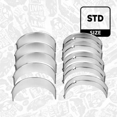 SET RULEMT ARBORE COTIT