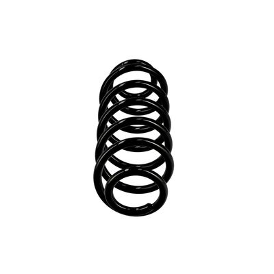 ARC SPIRAL EIBACH R10141 1