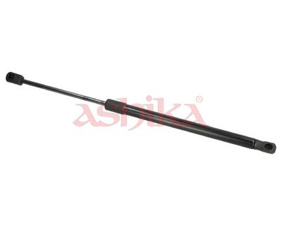 ZSA02031