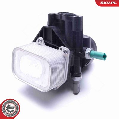 RADIATOR ULEI ULEI MOTOR ESEN SKV 31SKV169 3