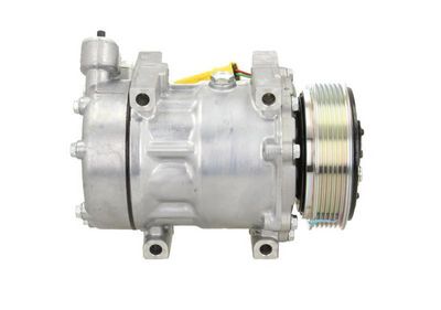 COMPRESOR CLIMATIZARE BV PSH 090225028876 3