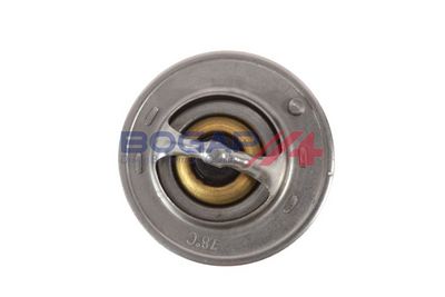 TERMOSTAT LICHID RACIRE BOGAP H4245105 2