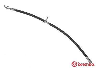 Brake Hose T 11 013