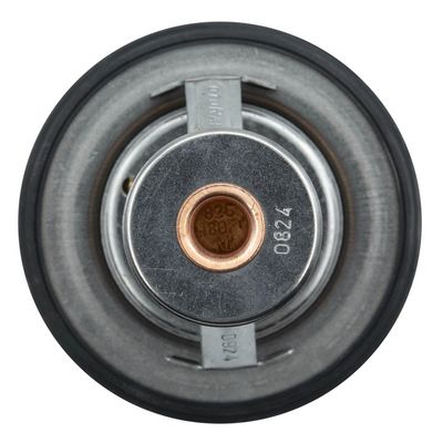 Termostat, kylmedel MOTORAD 534-82K