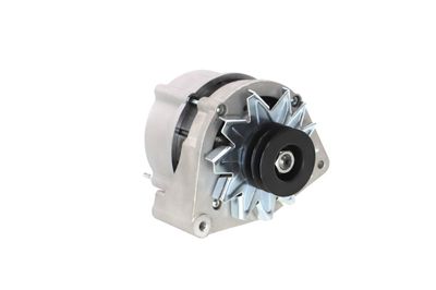 GENERATOR / ALTERNATOR REMANTE 011003000025R 55