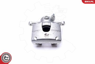 Brake Caliper 46SKV971