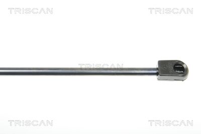 AMORTIZOR PORTBAGAJ TRISCAN 871029282 2