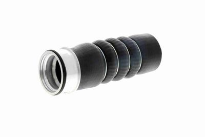 FURTUN EAR SUPRAALIMENTARE