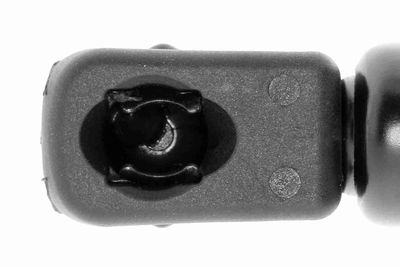 GASFEDER KOFFER-/LADERAUM VAICO V102079 2