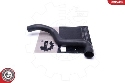 FURTUN EAR SUPRAALIMENTARE