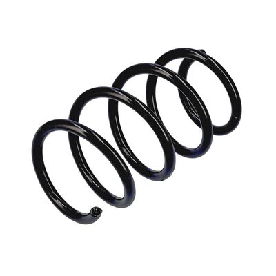 ARC SPIRAL EIBACH R17453 4