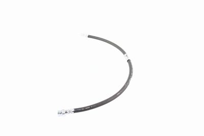 FURTUN FRANA VAICO V103077 4