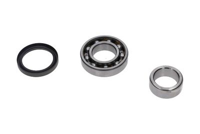Kavo Parts Rato guolio komplektas