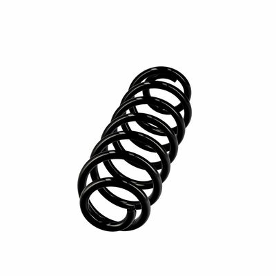 ARC SPIRAL EIBACH R10319 14