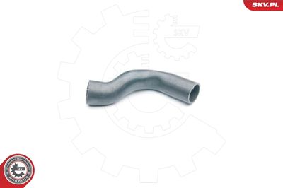 FURTUN EAR SUPRAALIMENTARE