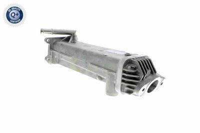 AGR-VENTIL VEMO V95630011 7