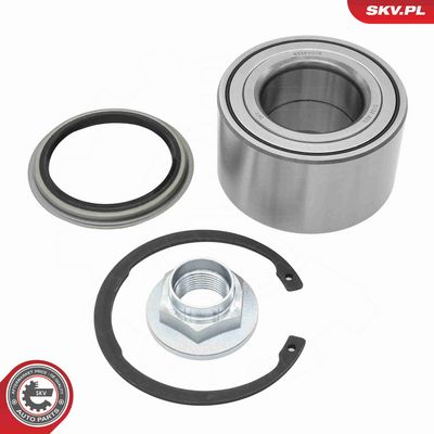 SET RULMENT ROATA ESEN SKV 85SKV078 1