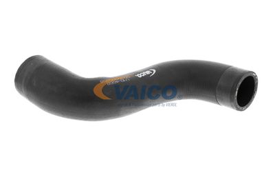 FURTUN EAR SUPRAALIMENTARE VAICO V104668 24