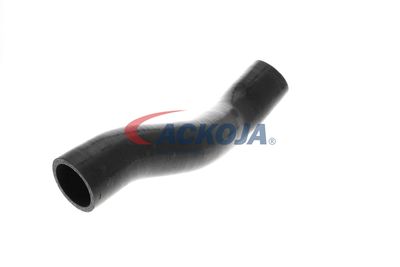 FURTUN EAR SUPRAALIMENTARE ACKOJA A389605 52