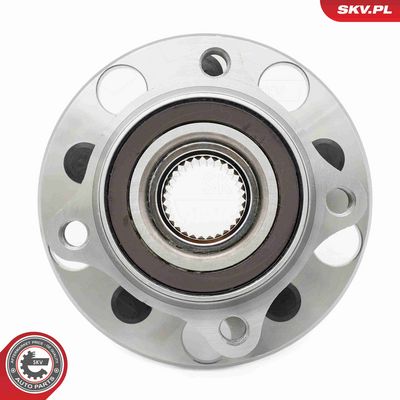 SET RULMENT ROATA ESEN SKV 29SKV660 4