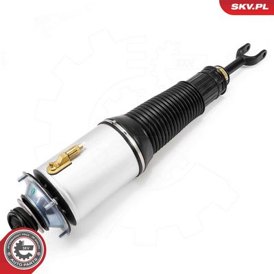 Air Suspension Strut 58SKV701