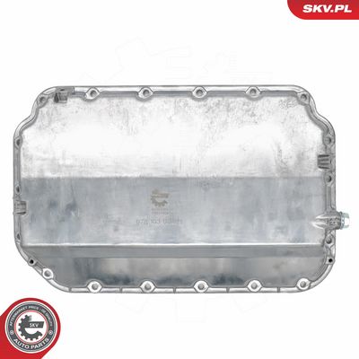 Karter ulja ESEN SKV 48SKV880