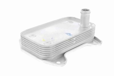 RADIATOR ULEI ULEI MOTOR VEMO V30601273 4