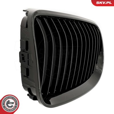 GRILA RADIATOR ESEN SKV 66SKV112 5