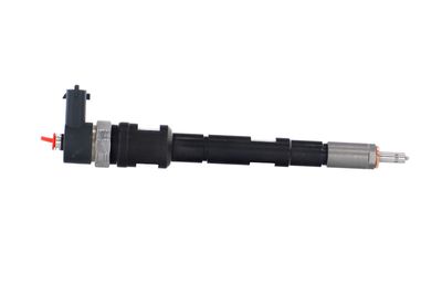 INJECTOR REMANTE 002003001196R 41
