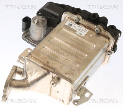 AGR-Ventil TRISCAN 8813 29006