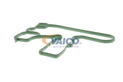 DICHTUNG KURBELGEHäUSEENTLüFTUNG VAICO V103884 15