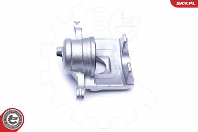 Brake Caliper 46SKV222