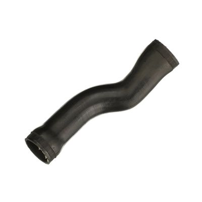 FURTUN EAR SUPRAALIMENTARE GATES 090793 59