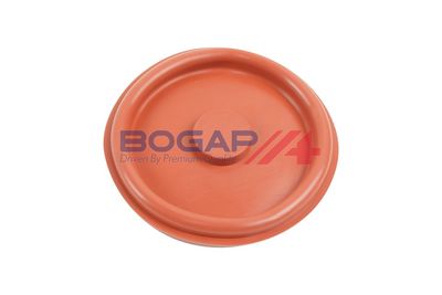 VENTIL AERISIRE CARTER BOGAP B1116115