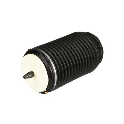 LUFTFEDER FAHRWERK Arnott A3295 37