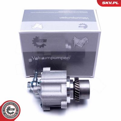 Unterdruckpumpe, Bremsanlage