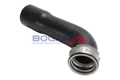 FURTUN EAR SUPRAALIMENTARE BOGAP B1711159 3