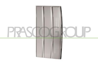 ZIER-/SCHUTZLEISTE TüR