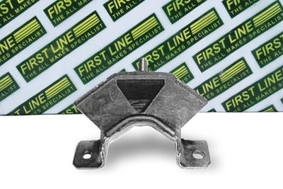 окачване, двигател FIRST LINE FEM3433