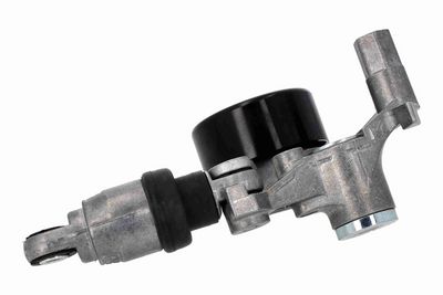 INTINZATOR CUREA CUREA DISTRIBUTIE ACKOJA A269683 2