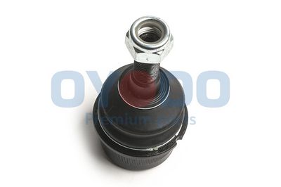 Šarnyras / girgždukas