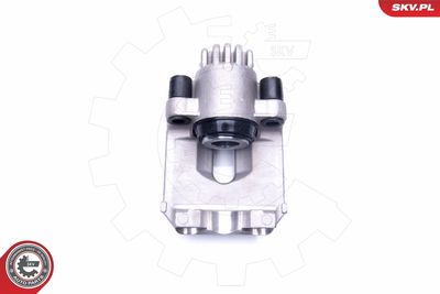 Brake Caliper 44SKV664