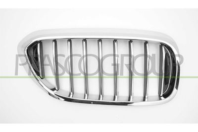 GRILA RADIATOR PRASCO BM0522003