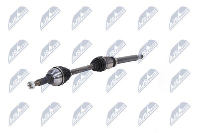 PLANETARA NTY NPWFR074 19