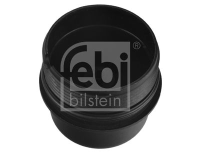 Cap, oil filter housing 171751