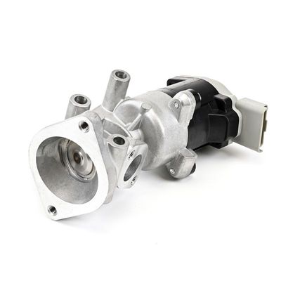 AGR-VENTIL DELPHI EG1064112B1 22