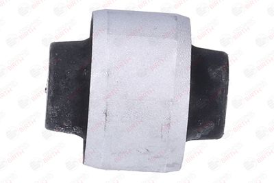 SUPORT TRAPEZ BIRTH 2012 10