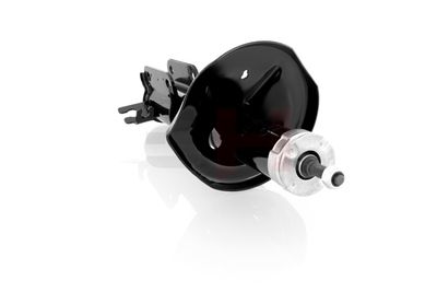 AMORTIZOR GH GH325058H 22