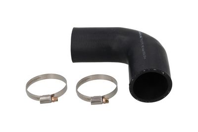 FURTUN EAR SUPRAALIMENTARE